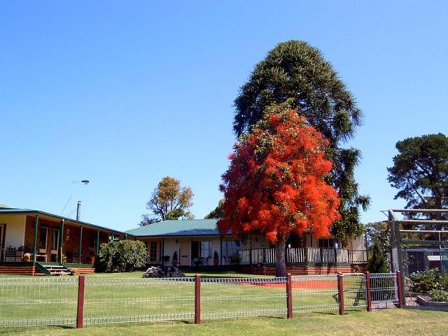 Snowy River Homestead Newmerella Exteriér fotografie